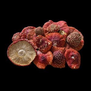 Amanita Muscaria Full Spectrum Tincture